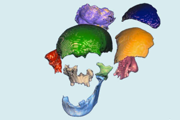 Reconstruction d’un visage antique grâce à Freeform